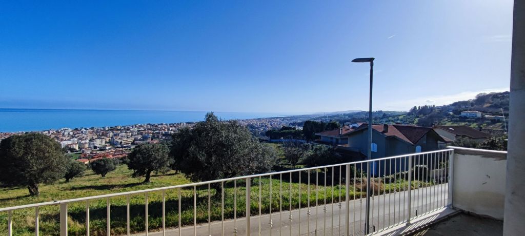 img_20250130_1248398438293176257931904