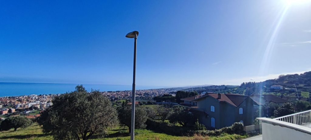 img_20250130_124927474893101024746457